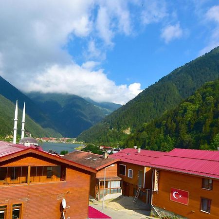 Anemo Suite Uzungöl Exteriér fotografie
